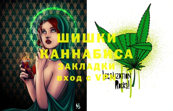 амф Дмитриев