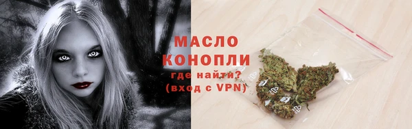 амф Дмитриев
