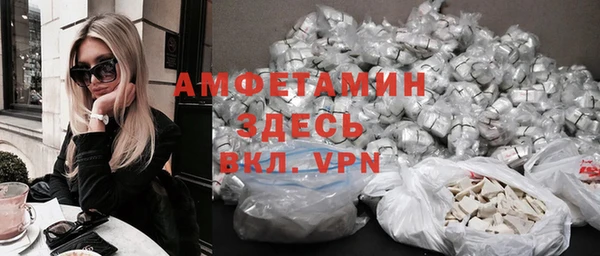 амф Дмитриев