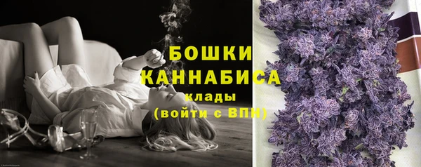 амф Дмитриев