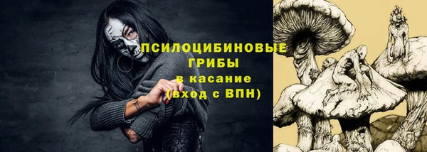 амф Дмитриев