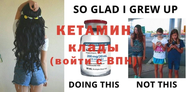 амф Дмитриев